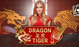 Dragon Tiger tại Kubet
