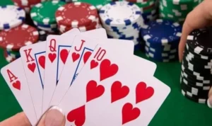 Xì Tố tại Kubet
